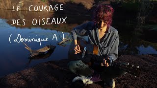 Video thumbnail of "Camille Hardouin - Le Courage des Oiseaux (Dominique A)"