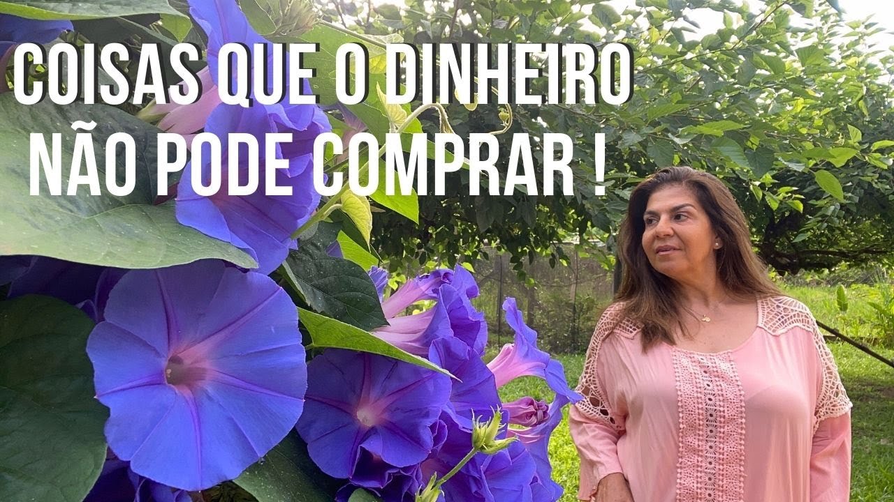 Coisas que o dinheiro não pode comprar ! - YouTube