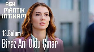 Biraz ani oldu Çınar - Aşk Mantık İntikam 13. Bölüm