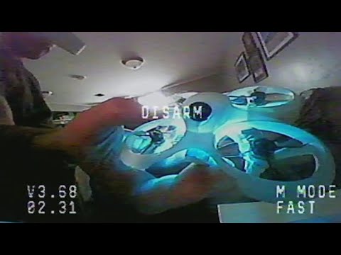 Tiny Whoop Freestyle