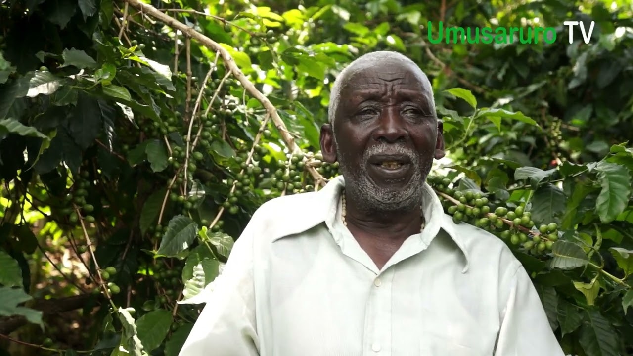 #Umusaza# #witeje# #imbere# #kubera# #ubuhinzi# #bwa# #kawa#