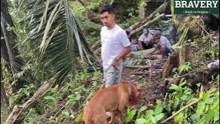 MOVING MAMA'S GRAVE FROM KALIMANTAN TO TORAJA WITH PABLITO!!!