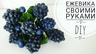 картинка: 🖤 Ягодки своими руками, ягоды ЕЖЕВИКА DIY
