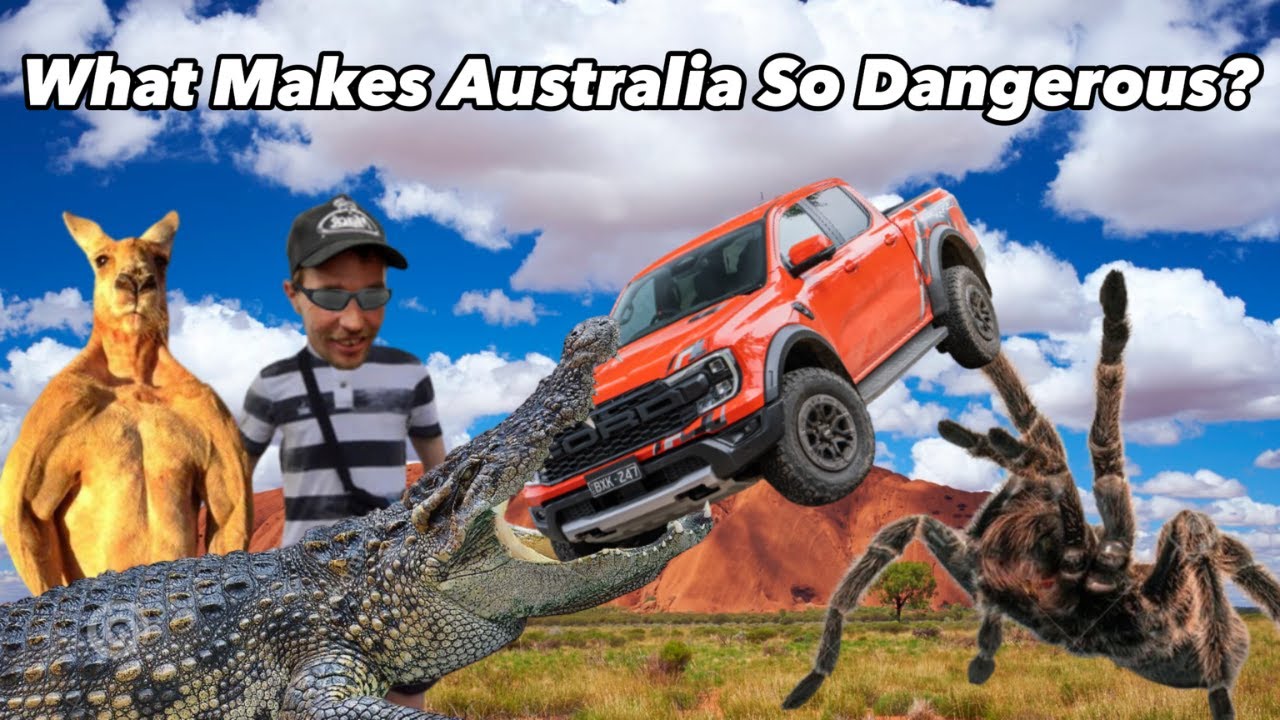 What Makes Australia So Dangerous YouTube What Makes Australia So Dangerous YouTube