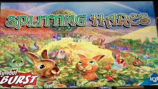 Splitting Hares VS Panda Palace ✦LIVE PLAY ✦ Slot Machine Pokie in Vegas and SoCal
