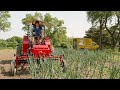 The Tilmor Tractor "Just makes sense" For Diversified Market Farming