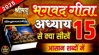 श्रीमद भगवद गीता अध्याय 15 की सीख | LIFE Changing Lesson of Bhagavad Gita Chapter 15 | Bhagwat Geeta