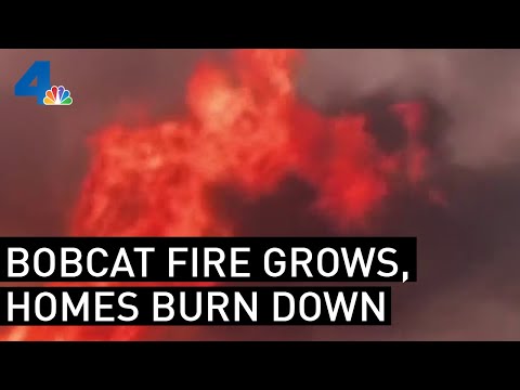 Homes Destroyed as Bobcat Fire Grows to 91,000 Acres | NBCLA