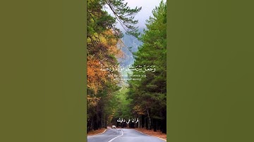 قران كريم ارح قلبك وسمعك #قران_في_دقيقة #quran #سعد_الغامدي #المصحف #قرآن @قران_في_دقيقة