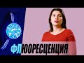 Флюоресценция. Свечение камней под УФ.