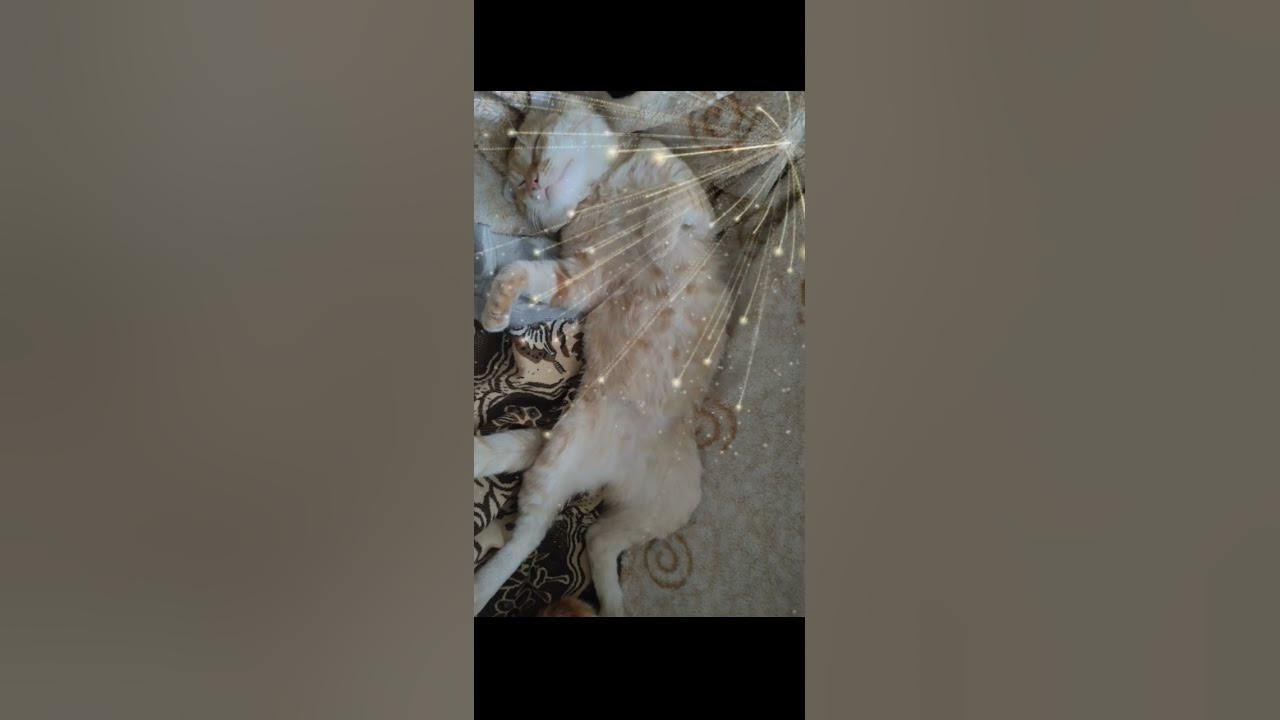 МилЯшки - YouTube