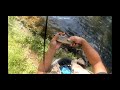 Catching leftover stocked trout