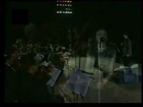 أنغام يأعز وأطيب قلب يا طيب