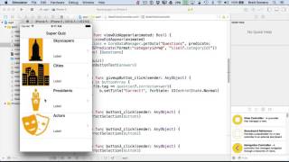 Learn To Build Your First Professional iOS App - Test Quiz screenshot 4
