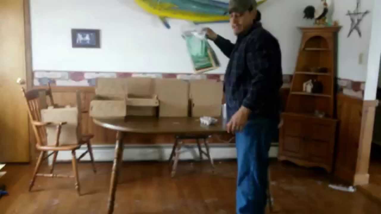 How to ship chicks and adult poultry. day old chicks