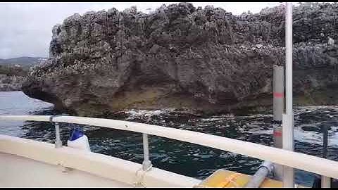 Multibeam Backscatter