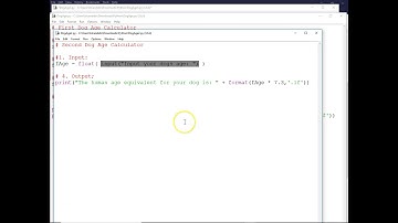Python Input, Conversion, Calculation and Output Dog Age 3
