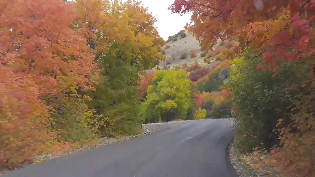 Fall Leaves in Santaquin Canyon YouTube