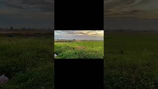 iPhone 11 pro camera / Việt TV