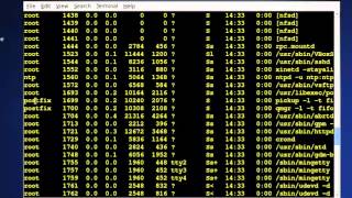 Intro to Linux Week 13_ Process Management Part 1.mp4 Wealth