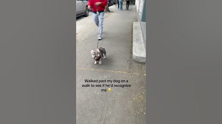 Her dog recognized her in public 😂