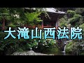 アジサイ3万本が咲き誇るあじさい寺『大滝山西法院』