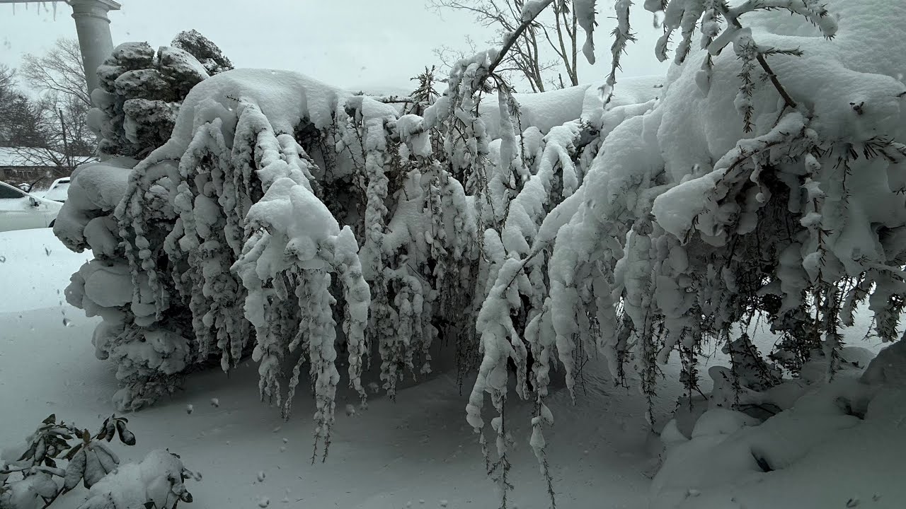 Blizzard Northeastern February 22-23, 2026