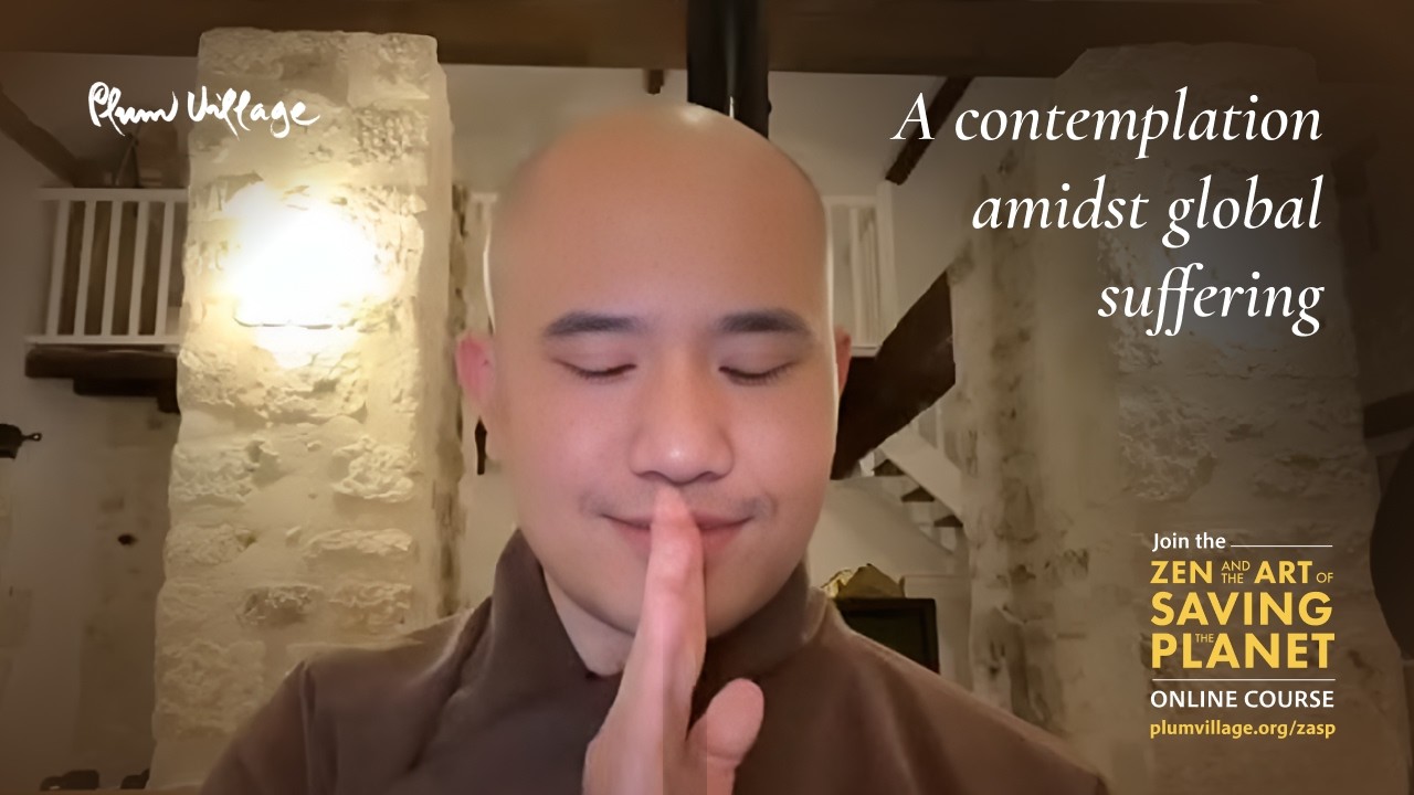 Cultivating Resilience & Mindful Resistance: Guided Meditation and Contemplation | Br. Phap Huu