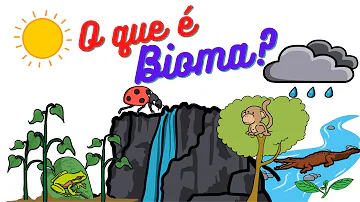 Como surgiram os biomas?