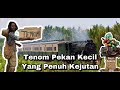 Pengalaman Naik Kereta Api Paling Klasik Di Tenom, Sabah (Kopi Tenom)