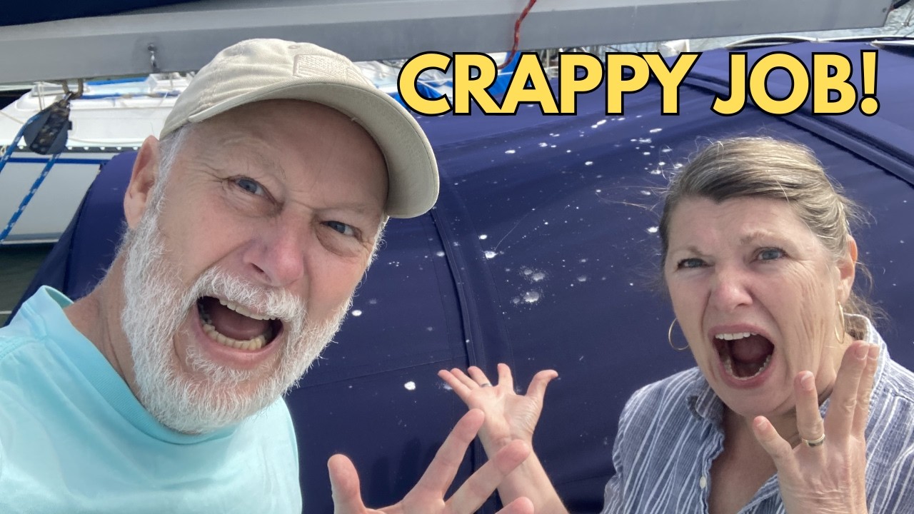 Sunbrella Cleaning After Seagulls & Windy Sail