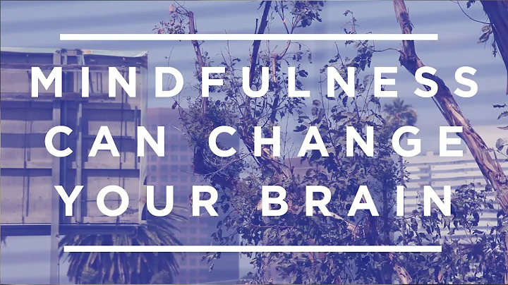 How Mindfulness Can Change Your Brain [Jeffrey Sch...