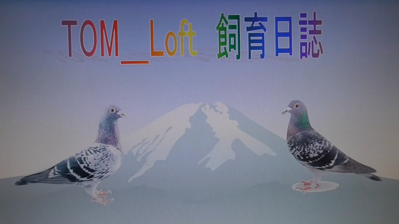 21 3 24（水）800K本命BLKC ♀ - YouTube
