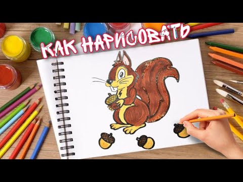 Как нарисовать БЕЛКУ. How to draw a squirrel. Рисунок БЕЛКА поэтапно.