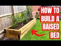 How to build a raised bed in your garden  simple diy