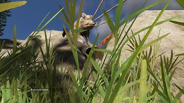 Stranded Deep: When the wildlife fights back