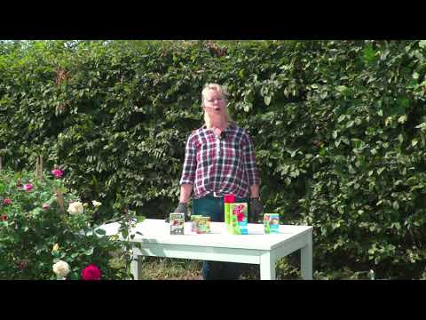 Video: Verwendung von Kupferfungiziden: Wann man Kupferfungizide im Garten verwendet