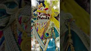 Jay Shri Shyam 🙏🌹