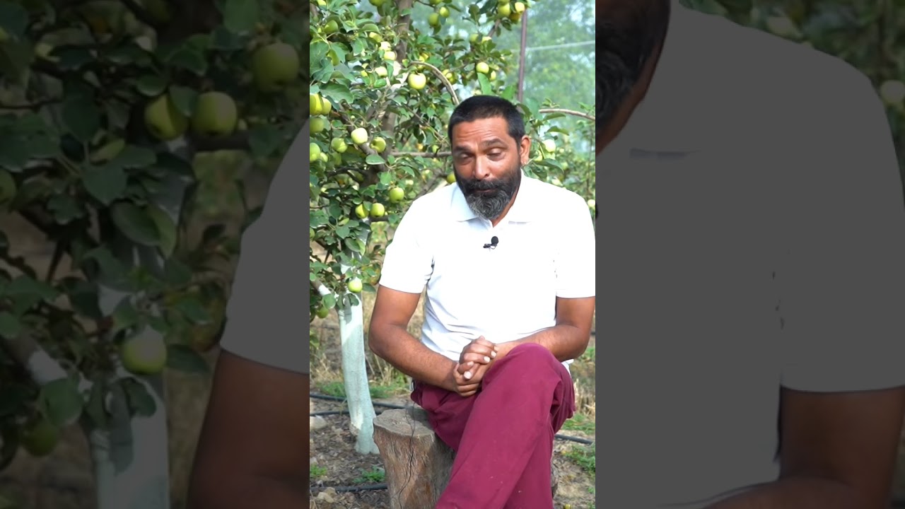 A successful hot climate apple farmer 