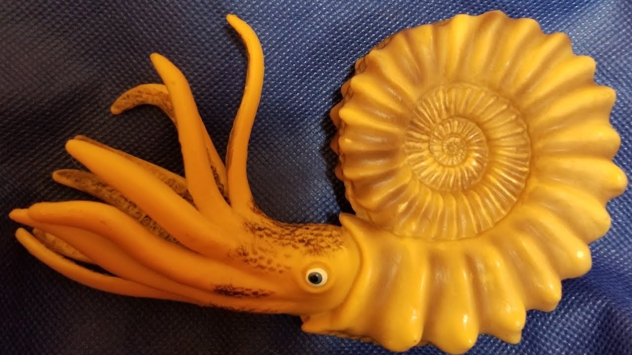 Prehistoric Sea Life Toys - YouTube