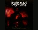 Rotting Christ - Discography (EP & LP 1988-2009)