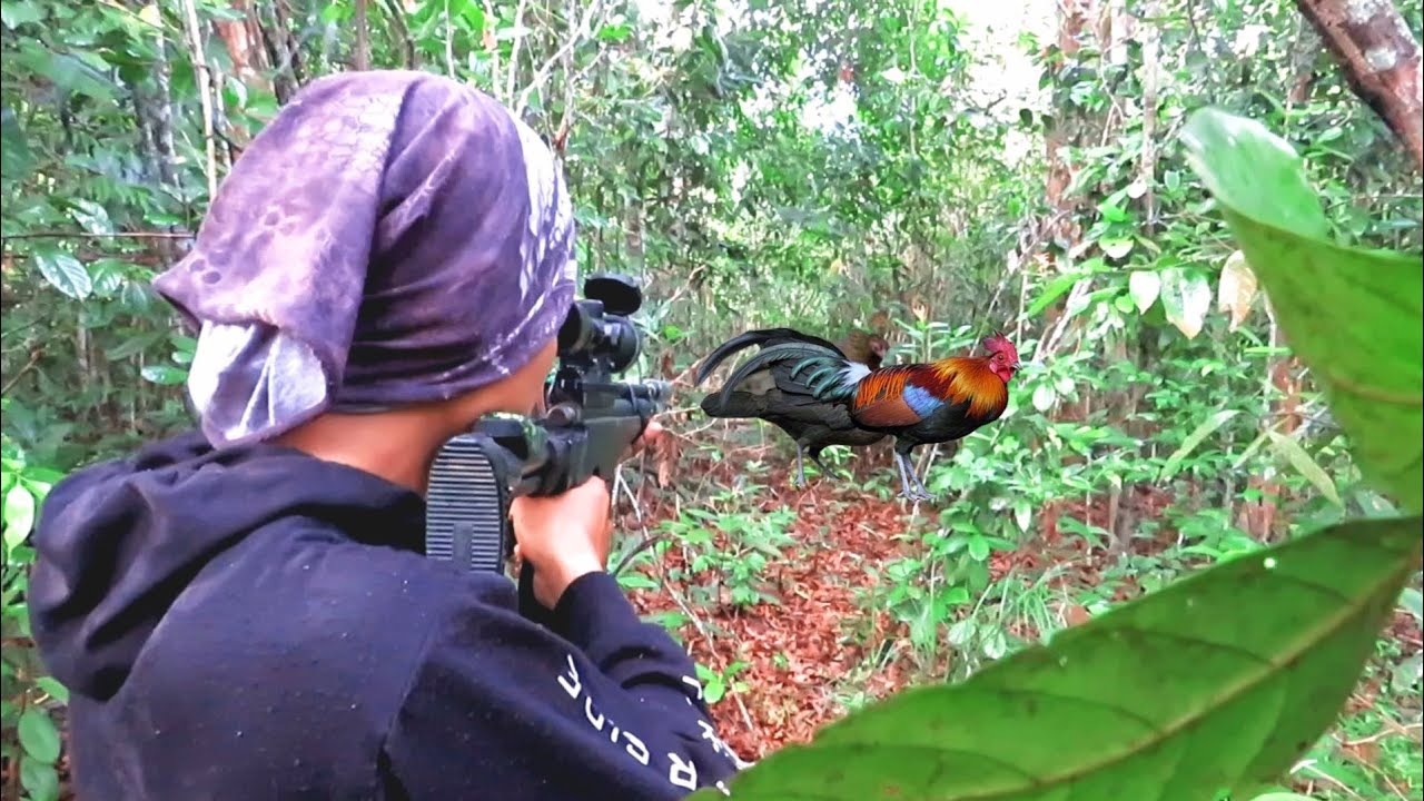 TERNYATA ‼️KEBUN DURIAN SPOT GEROMBOLAN AYAM HUTAN