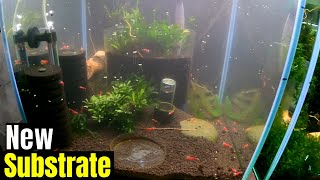 I Added New Soil To An Old Tank!