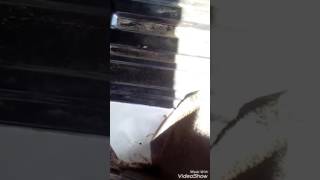 видео Объем топливного бака NIVA Chevrolet