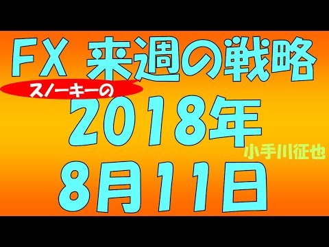 トルコリラ円は大波乱 FX スノーキー(小手川征也)の来週の戦略とビットコイン情報も 2018年8月11日