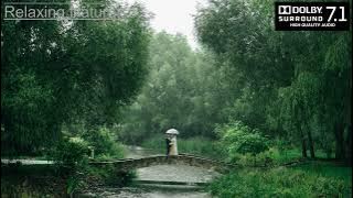 Rain and Thunder Sounds for Sleeping | High Quality 3D Dolby Atmos Sound | Relaxing Naturals