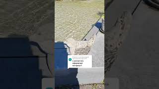 Купить дом недорого в Германии в рассрочку. Спасибо за подписку ❤️