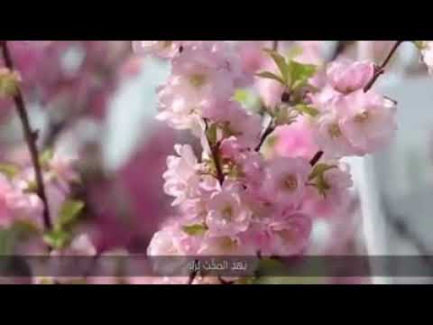 كسب القلوب بحبه أسر النفوس بخلقه صلو عليه وسلموا منصور السالمي