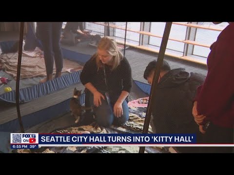 वीडियो: पेट स्कूप: डॉग फाइनल डे पास, दूर, सिएटल हॉल एक दिन के लिए किट्टी हॉल में अपनाया जाता है