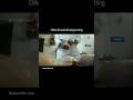 chiken Drumstick & wings cutting ll #fastfood #cooking #food #momos #viral #shorts